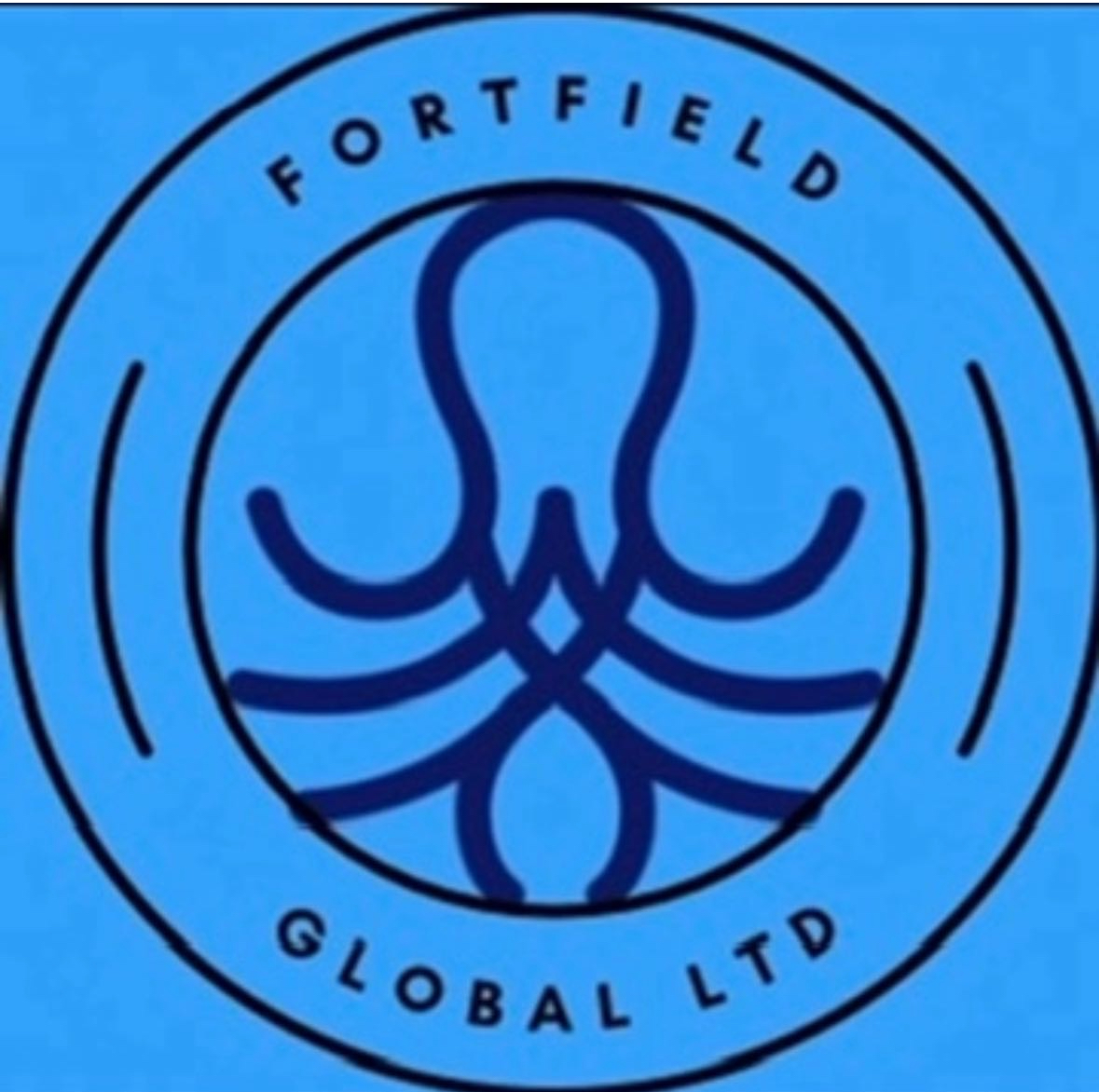 Fortfield Global Ltd