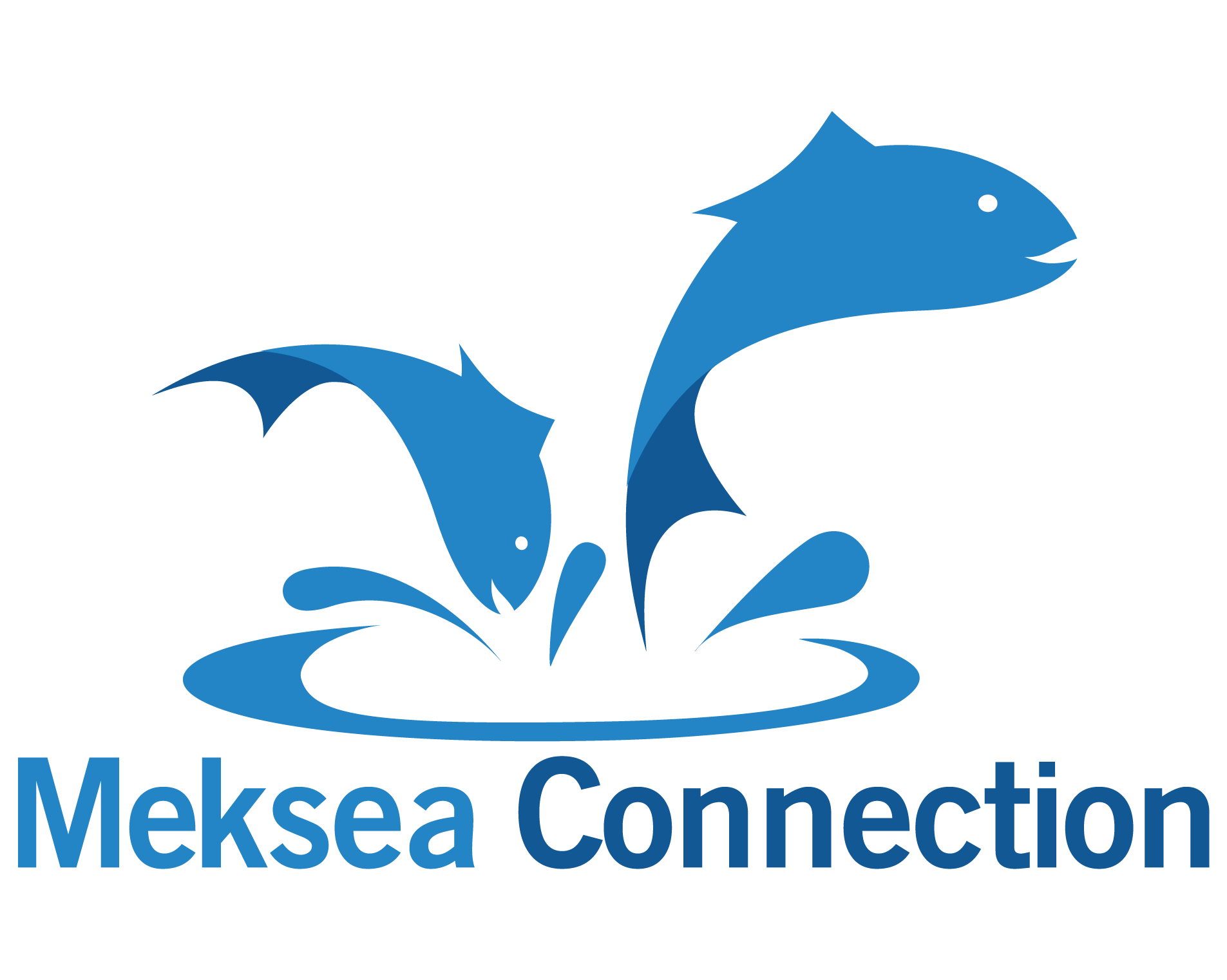 MEKONG SEAFOOD CONNECTION CO., LTD.