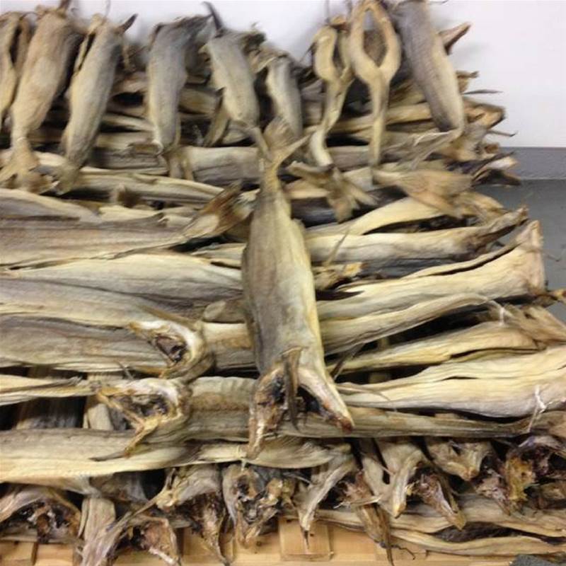 Stockfish of Ling in 45 kg bales.